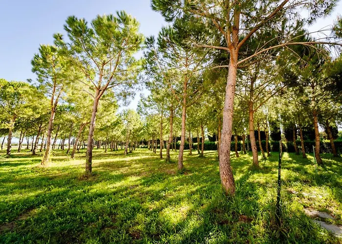 Agriturismo Bio San Mamiliano